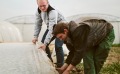 Nos producteurs