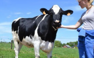 Interview producteur