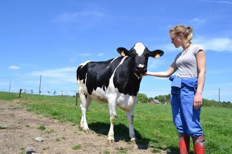 Jade de la Ferme de la Béole