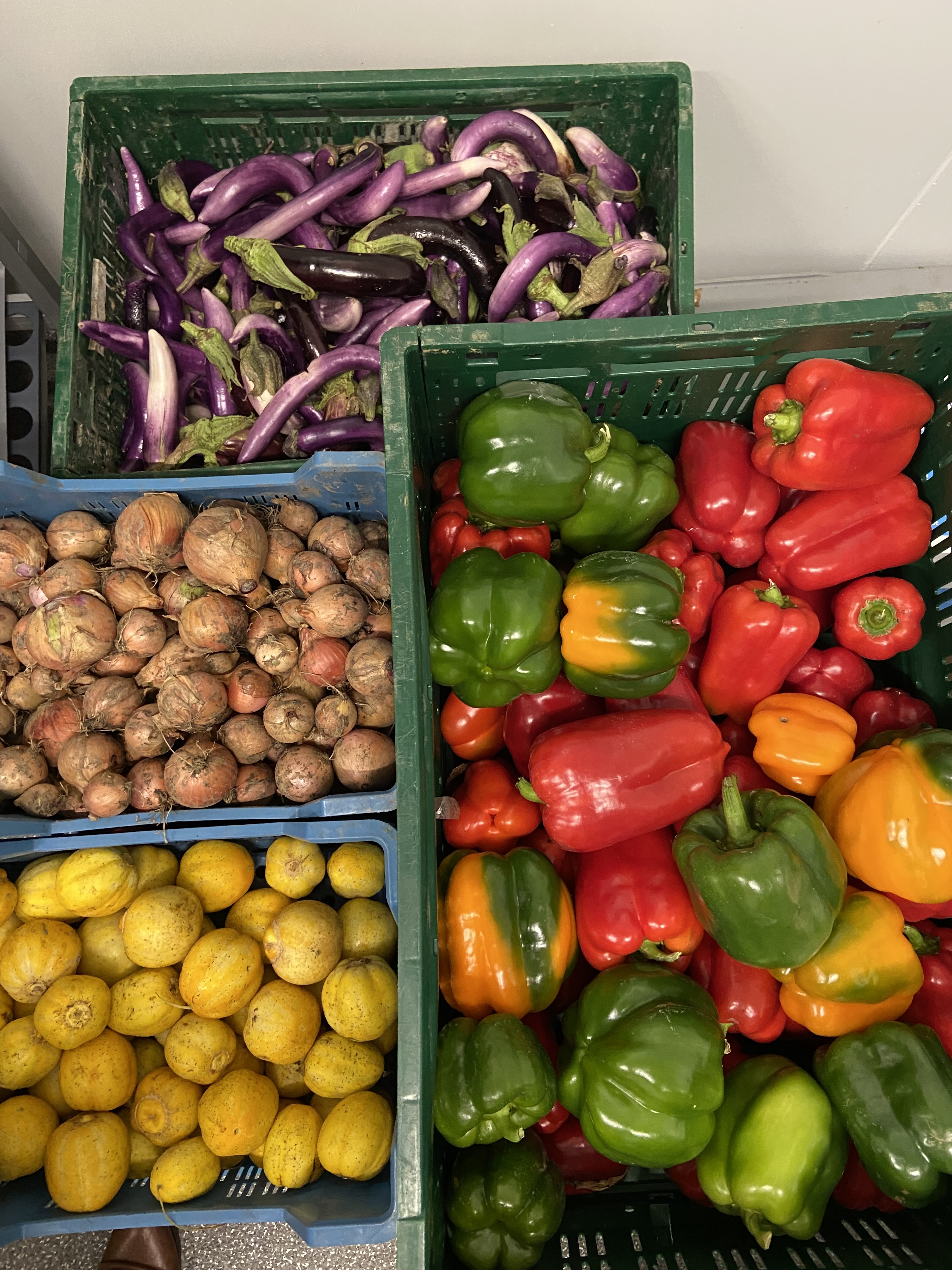 Légumes du jardin de Bossimé